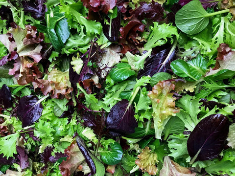 Vinaigrette with Todd's Granny's Mustard