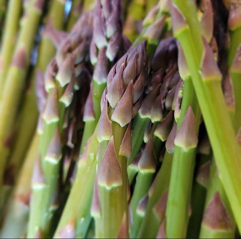 Asparagus and Prosciutto Bundles