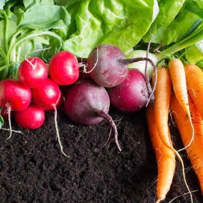 Shaved Beet Salad with Dijon Vinaigrette