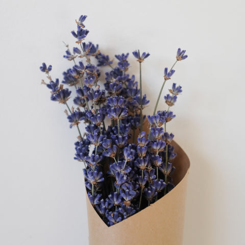 Lavender, 1 bundle, Organic, Pemberton Meadow Lavender