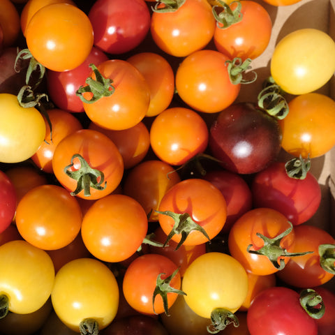 Tomatoes, Cherry Colourful Mix, 5lb, Organic, Tatlo Road Farm