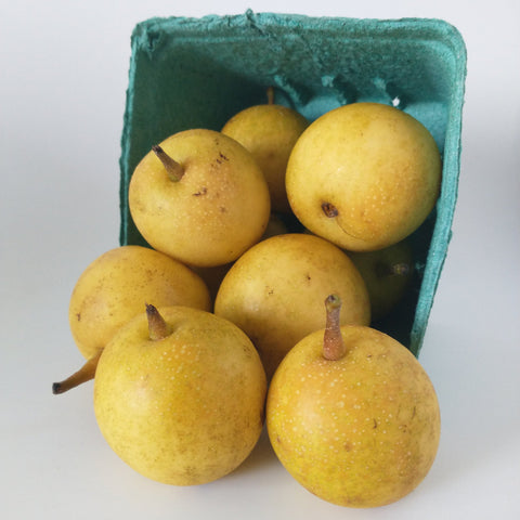 Asian in a green cardboard box on a white background
