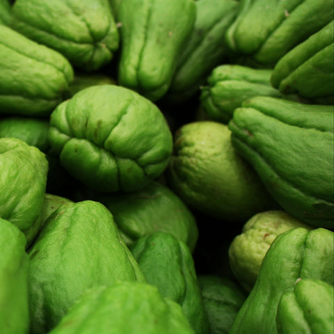 Squash, Chayote, 2ct , Glanford Greenhouses