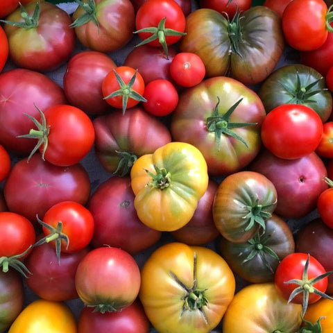 Heirloom tomatoes