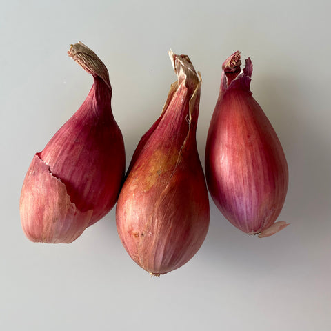 Shallots, 1lb, Organic, Tatlo Road Farm