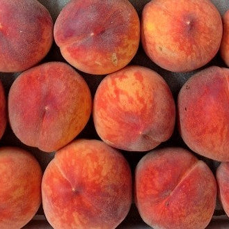 Peaches,Freestone, Organic, 10lb, Tree Ripened, Wild At Heart Orchard, Keremeos, B.C