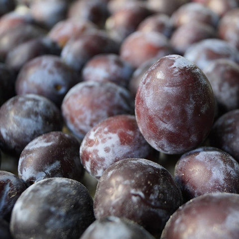 Prune Plums