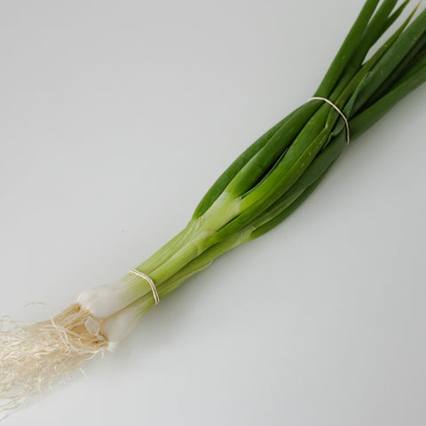Onions, Green, 1 bunch, Michell Farm
