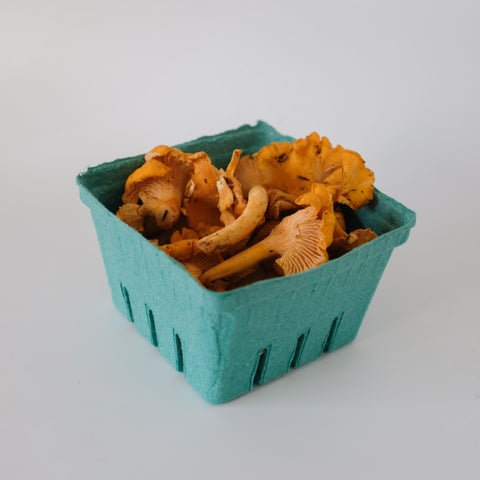 Mushrooms, Chanterelles, 0.5lbs, Ponderosa Mushrooms
