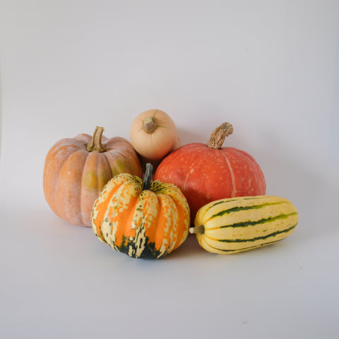 Squash, Fall Mix, Organic, 10lb
