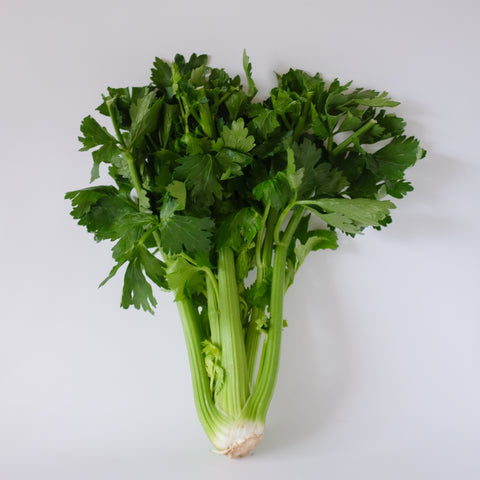 Celery, 1 Head, Michell's Farm