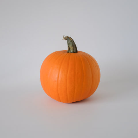 Pumpkin, Sugar Pie, 1 ct, Krause Berry Farm