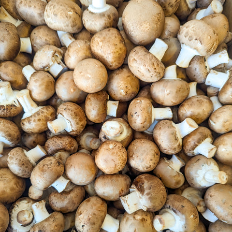 Mushrooms, Crimini, Organic, 1lb, Ponderosa Mushrooms