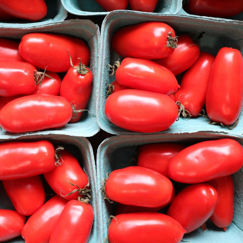Tomatoes, 'San Marzano Style', 2lb, Sun Wing Greenhouses