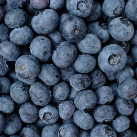 Blueberries,10 lb, Bulk Box, Krause Berry Farm