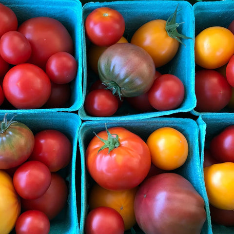 Tatlo Colourful Tomatoes 1.3lbs