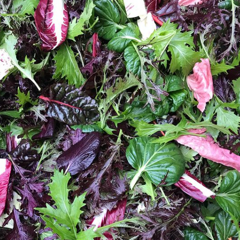 Salad Greens, Organic, 0.5lb, Tatlo Road Farm