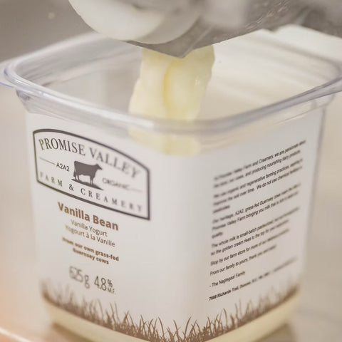 Vanilla Bean Yogurt