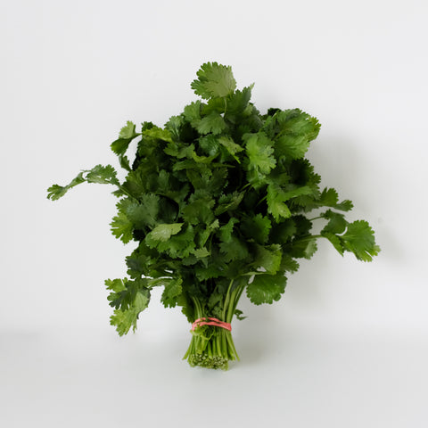 Cilantro, Organic, 3oz bunch, Tatlo Road Farm