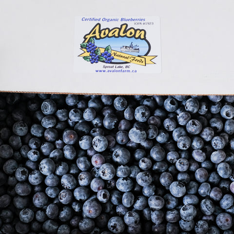 Blueberries, Reka Variety, Organic, 10lb, *Full Case*, Avalon