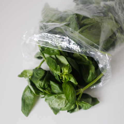 Basil, Genovese, 0.2lbs, Sunwing Greenhouses