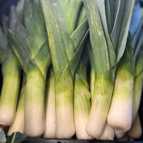 Leeks, 1 bunch, Approx. 2 lbs, Michell's Farm