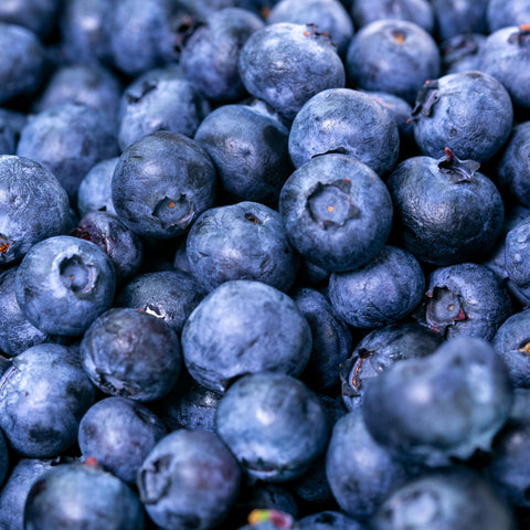 Blueberries, Reka Variety, *Half Case* 5lb, Organic, Avalon Farm
