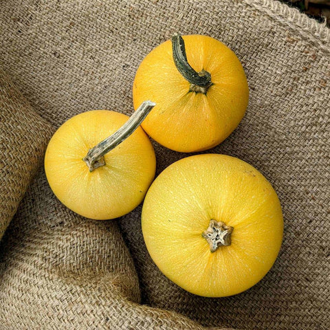 Squash, Spaghetti, Approx 1.5lb, Lockwood Farms