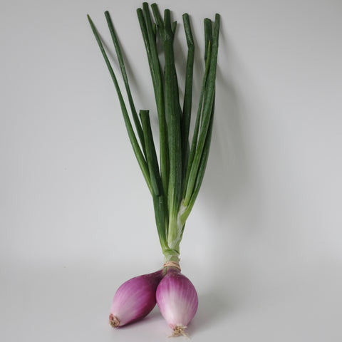 Onions, Red Torpedo, with Tops, 1 lb