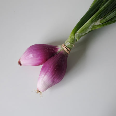 Onions, Red Torpedo, with Tops, 1 lb