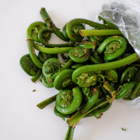 How To Safely Consume Fiddleheads