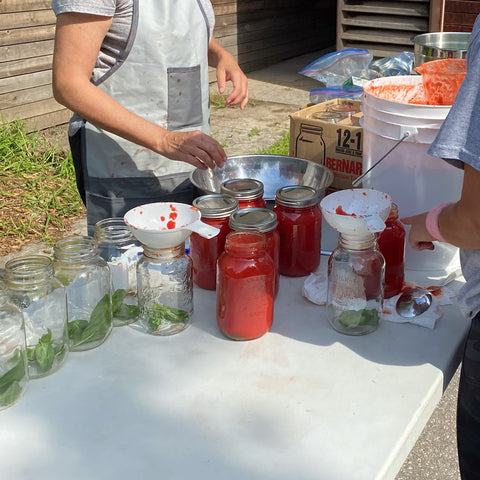Karen's Homemade Tomato Sauce