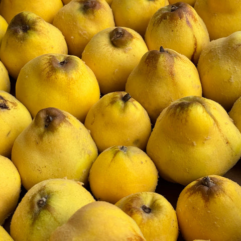Quince Glaze