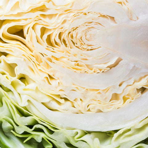The Best Cabbage Slaw