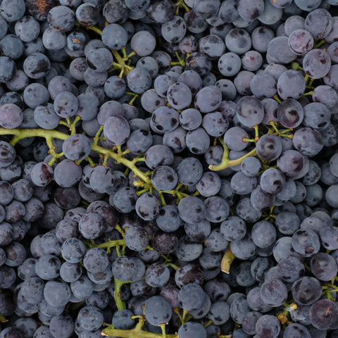 Coronation Grape Juice