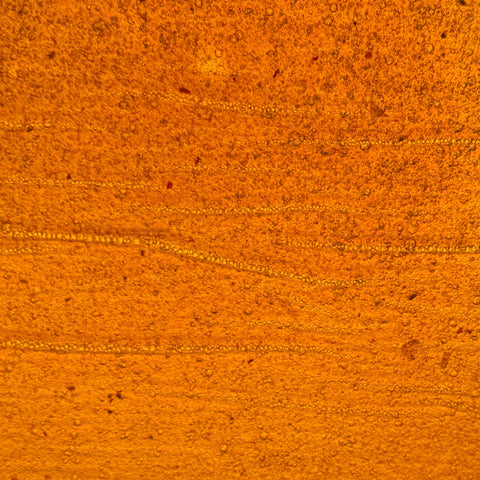 Plum & Pear Fruit Leather