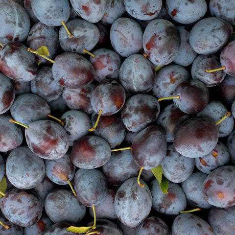Plum Sauce