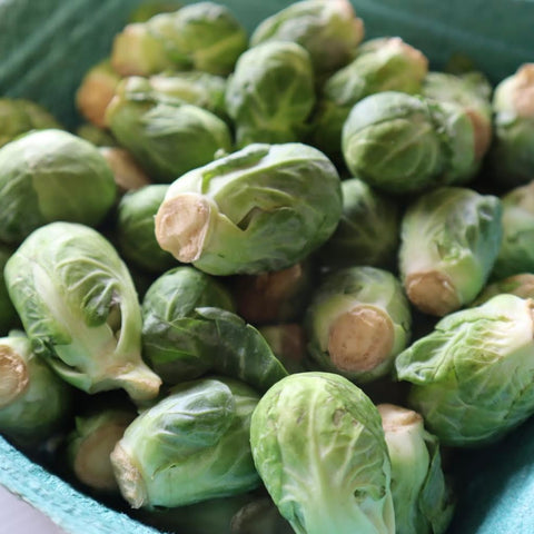 Brussel Sprouts Close Up