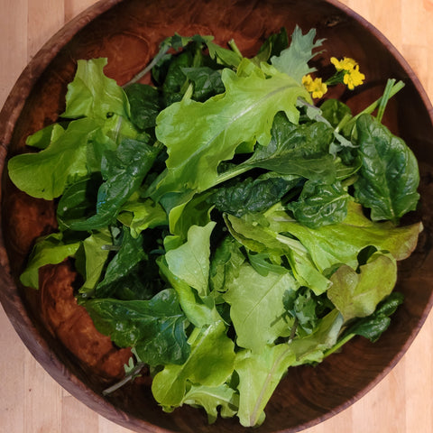 Greens, Hardy Winter Mix, 0.5lb, Tofino Farms