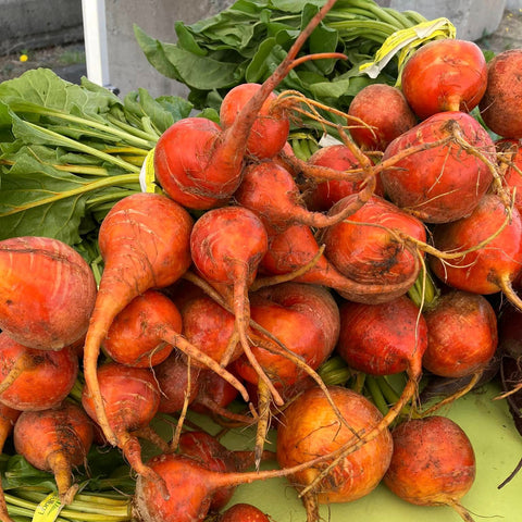 Beets, Tops On, 1 bunch, Organic, Longview Farm