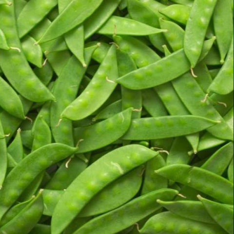 Snow Peas, 0.5lb, Organic, Lina's Garden