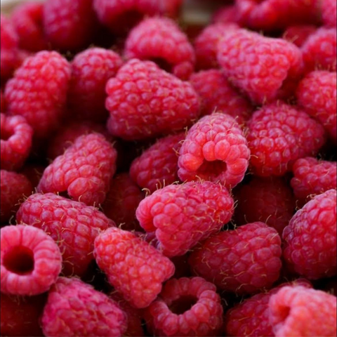 Raspberries, Frozen, 20lb, *Full Case*, Krause Berry Farm