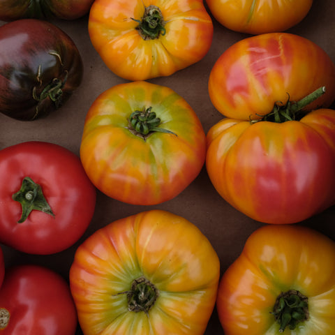 Tomatoes, Heirloom Colourful Mix, Organic, 12lbs