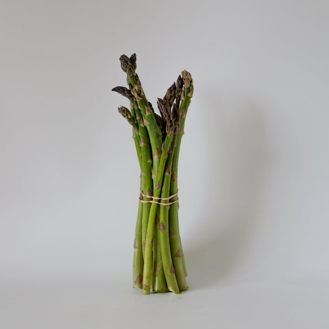 Asparagus-sparrow
