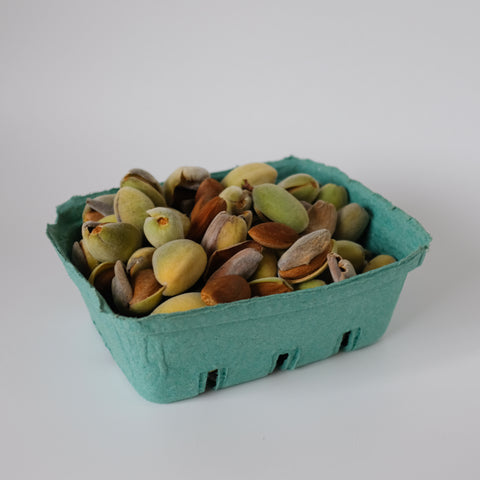 Almonds, Fresh in Husk, 2 lb, Klatt Farms