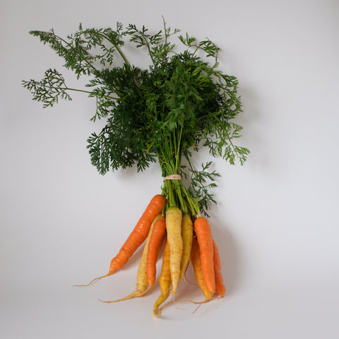 Carrots, Rainbow, 1 bunch