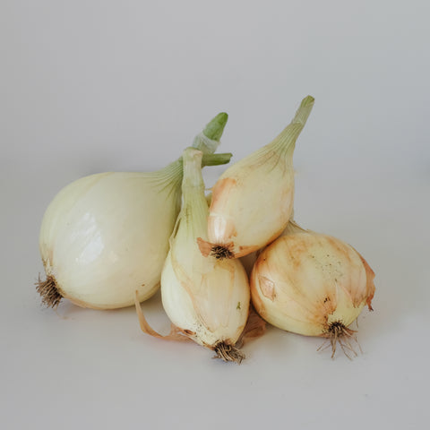 Onions, Sweet Walla Walla, 3lb, Organic, Tatlo Road Farm