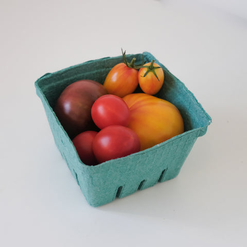 Tomatoes, Colourful Mix, Organic, 1.5lb Quart, Tatlo Road Farm