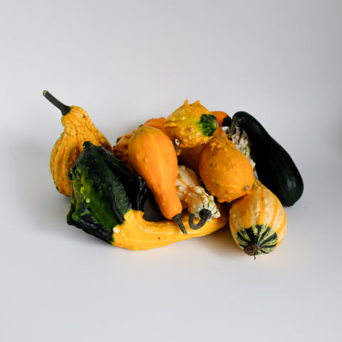 Squash, Gourds Assorted, 5lb, Gobind Farm