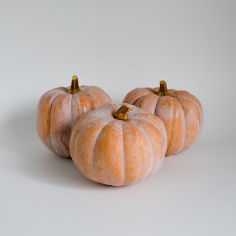 Squash, Autumn Frost, 5lb, Organic, Tatlo Road Farm